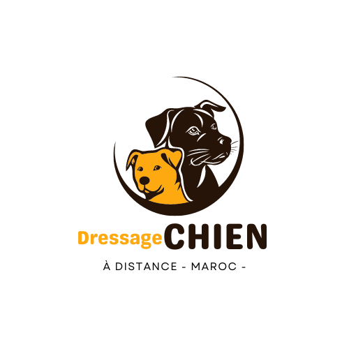Dressage-des-Chiens-MAROC.png